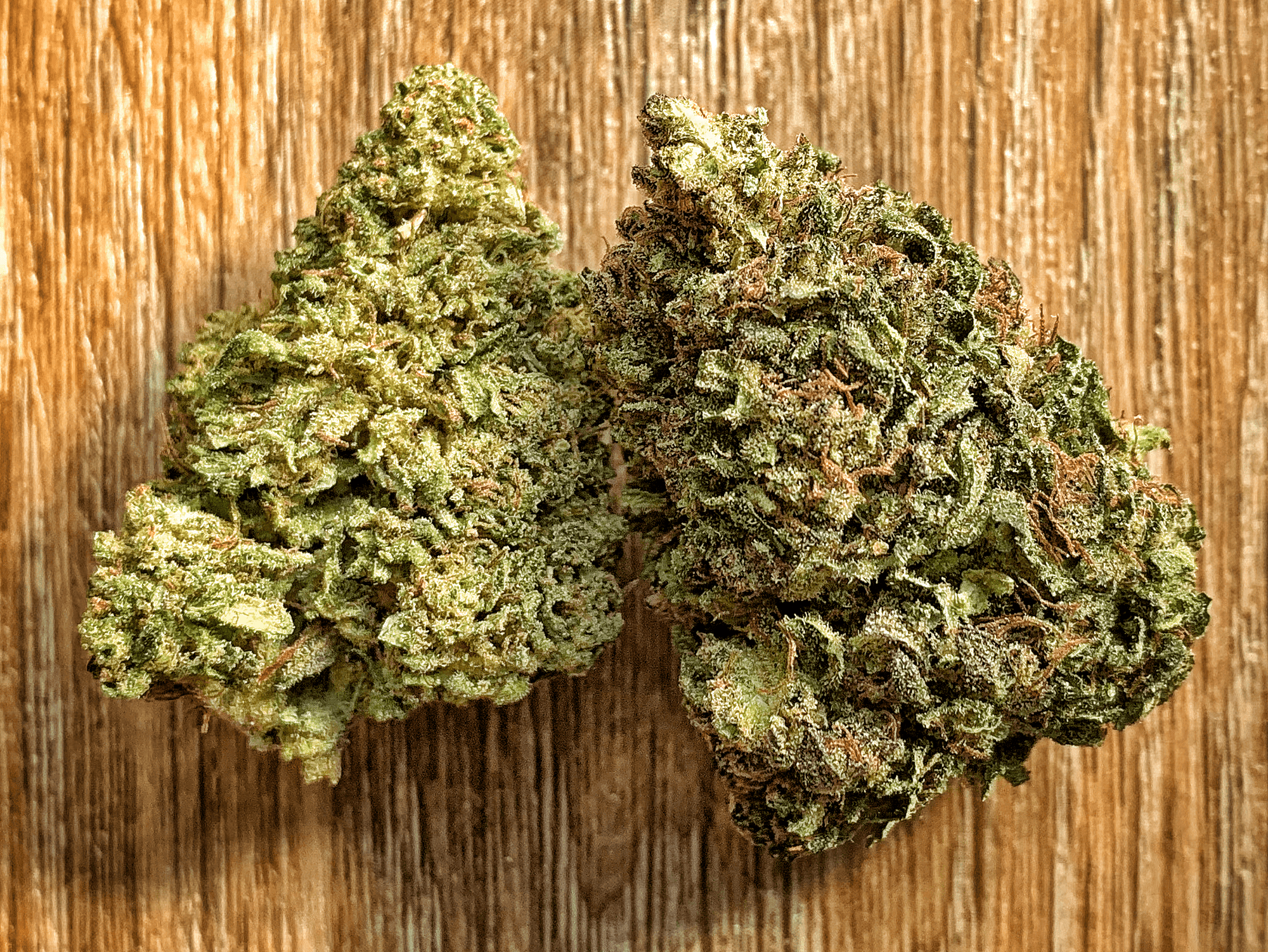 CBD Flower Strains from BackWoodz Cartel