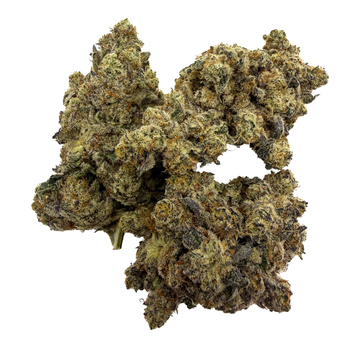 A cluster of trap star buds with a mix of green, yellow, and orange hues, isolated on a solid white background.