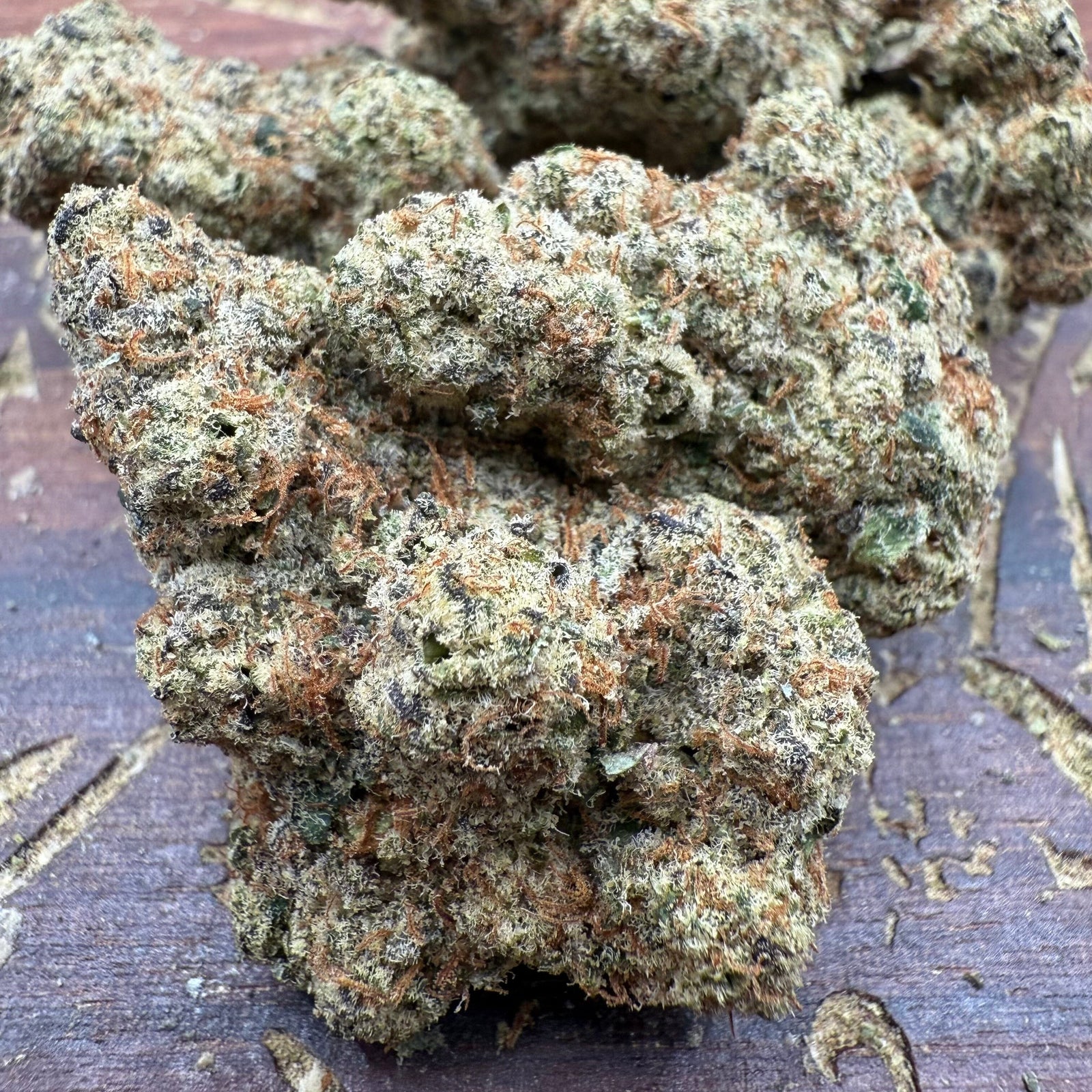 BackWoodz - Animal Cookies THCA Flower