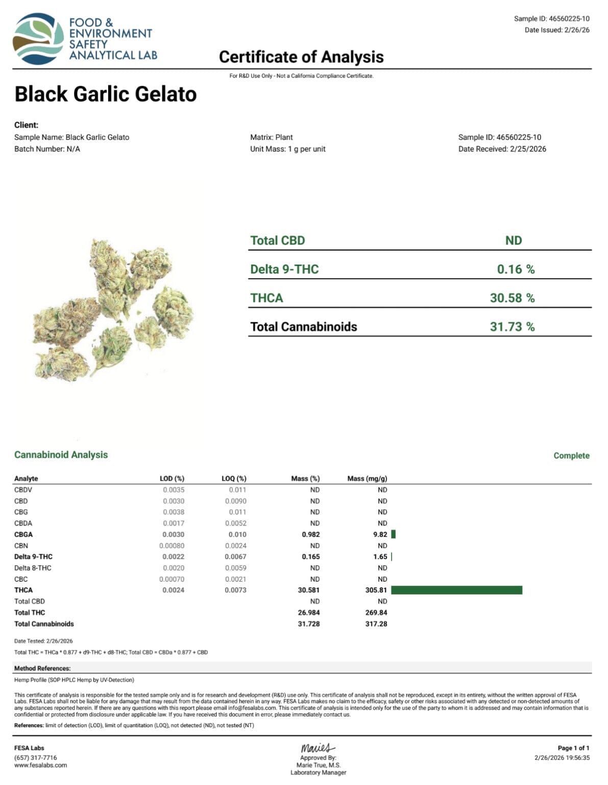 Black Garlic Gelato - THCA Flower - BackWoodz