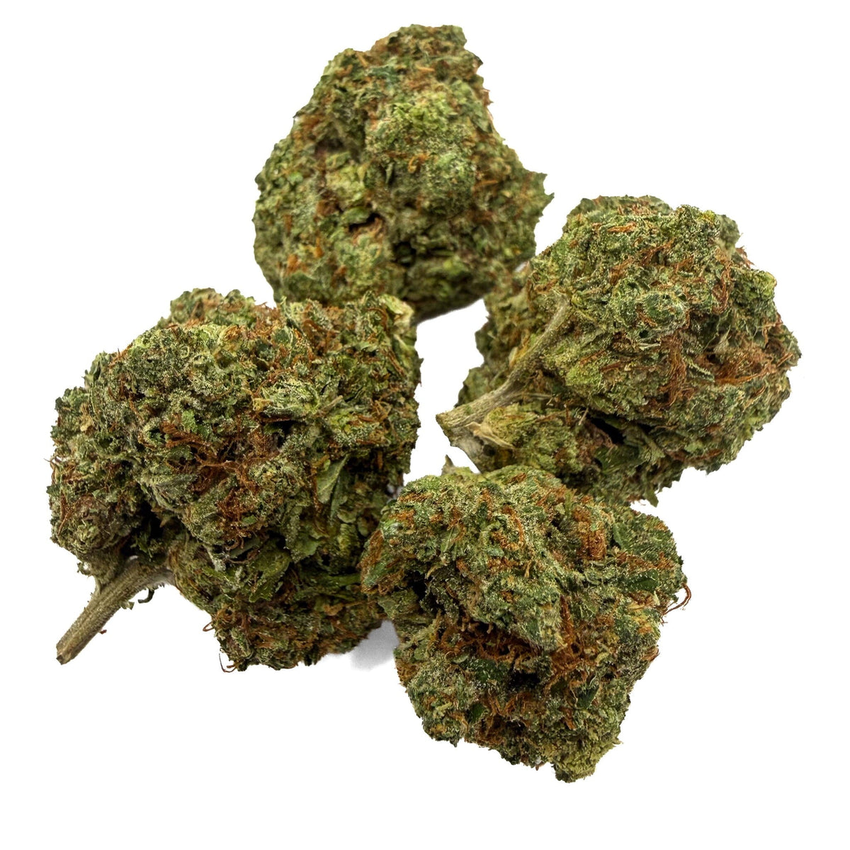 Black Garlic Gelato - THCA Flower - BackWoodz