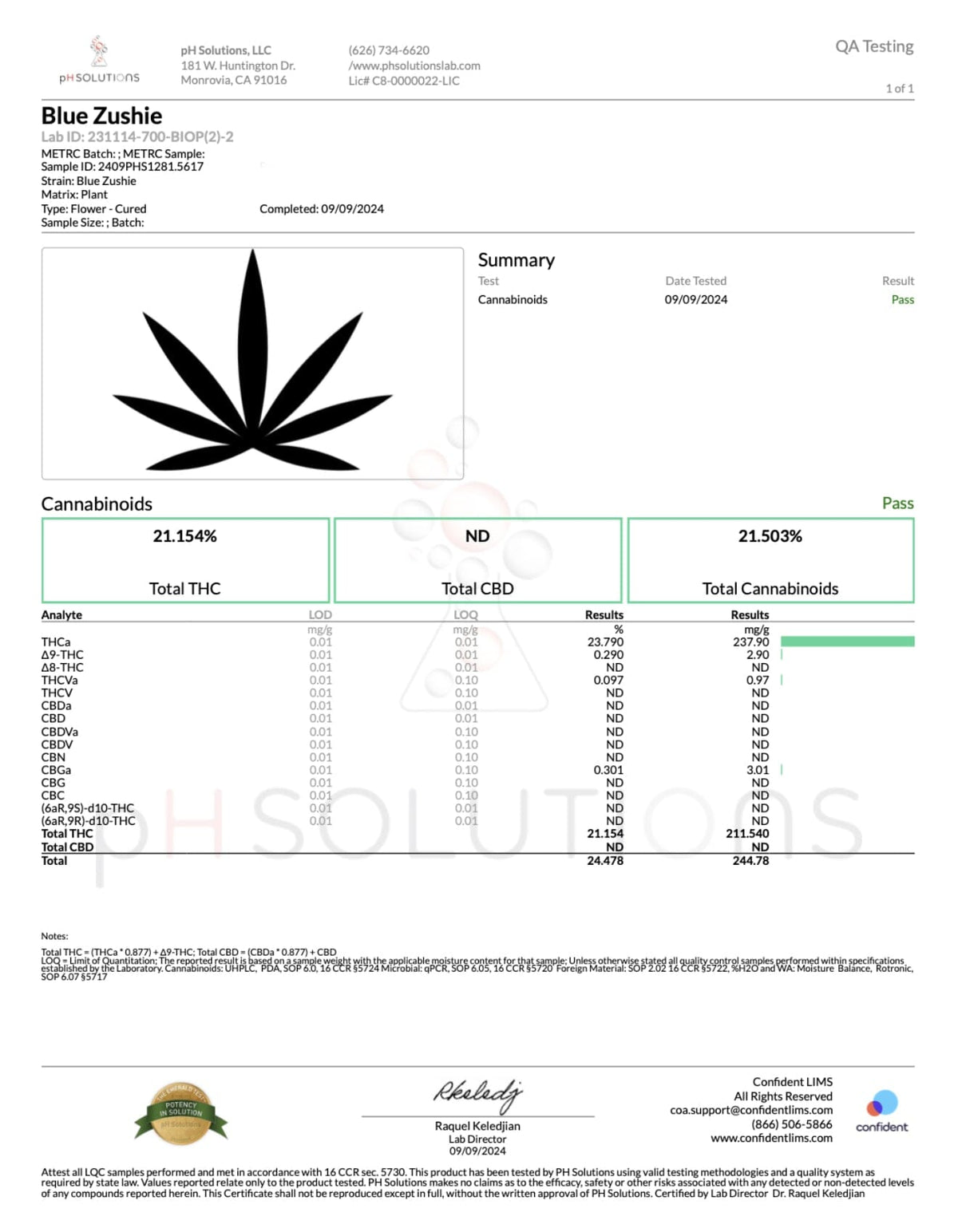 BackWoodz Blue Zushi THCA COA