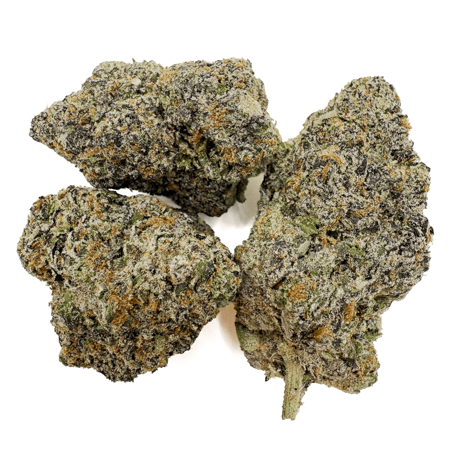 GrandDaddy Purp THCA Bud