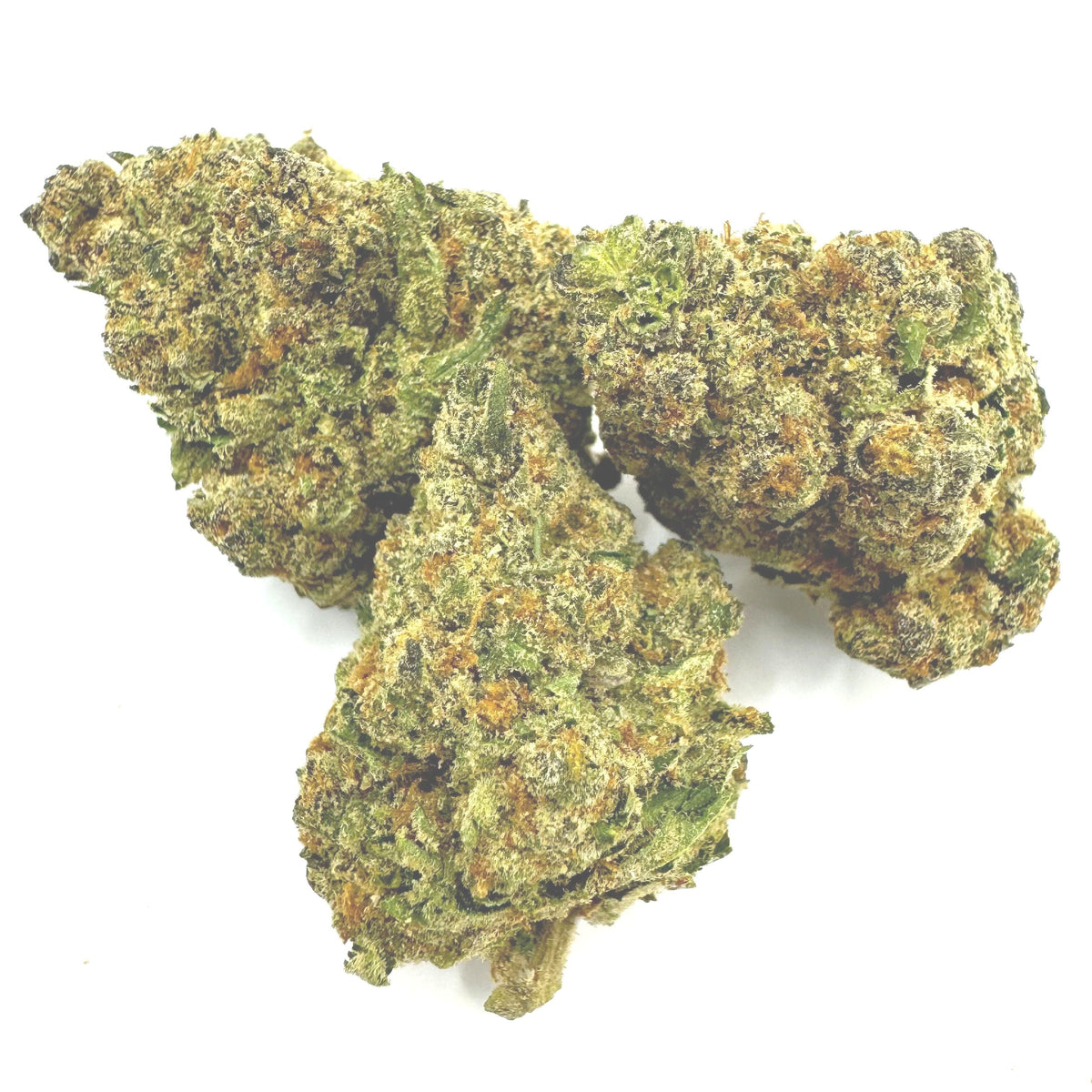 Jack Herer - THCA Flower - BackWoodz