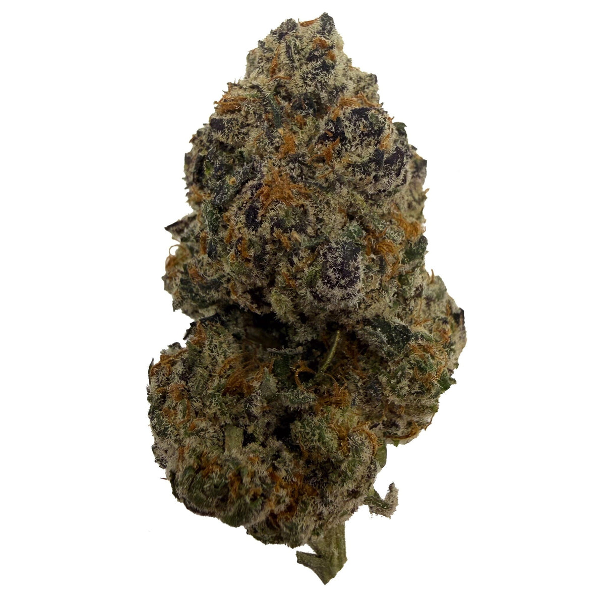 Magic Marker  - thca flower - BackWoodz  
