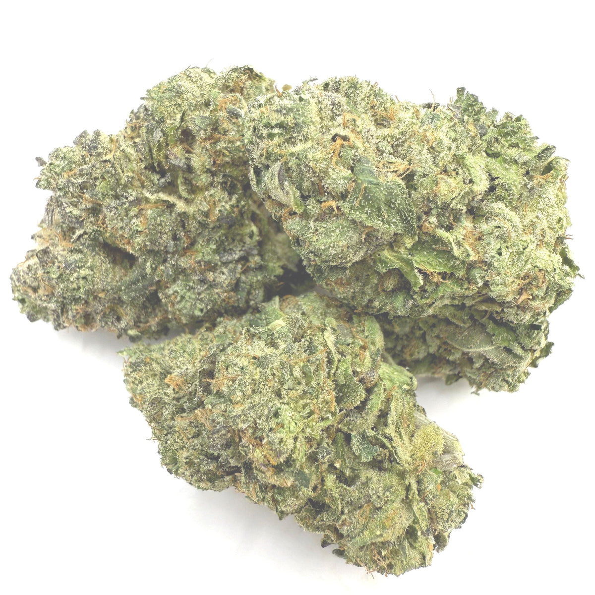 Thin Mint Cookies - THCA Flower - BackWoodz 