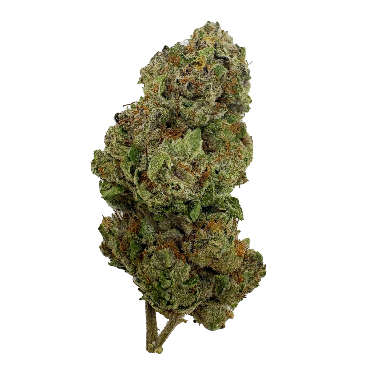 BackWoodz Tropicana Cherry THCA Flower Bud