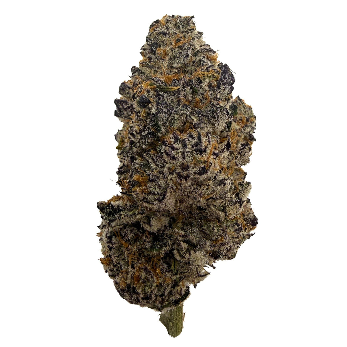 White Chocolate - thca flower - BackWoodz 