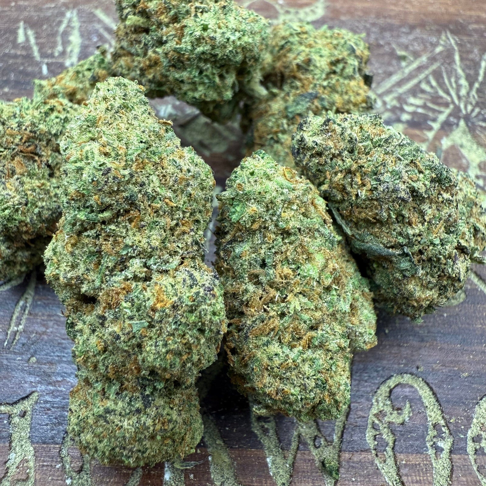 Zimosa - THCA Flower - BackWoodz