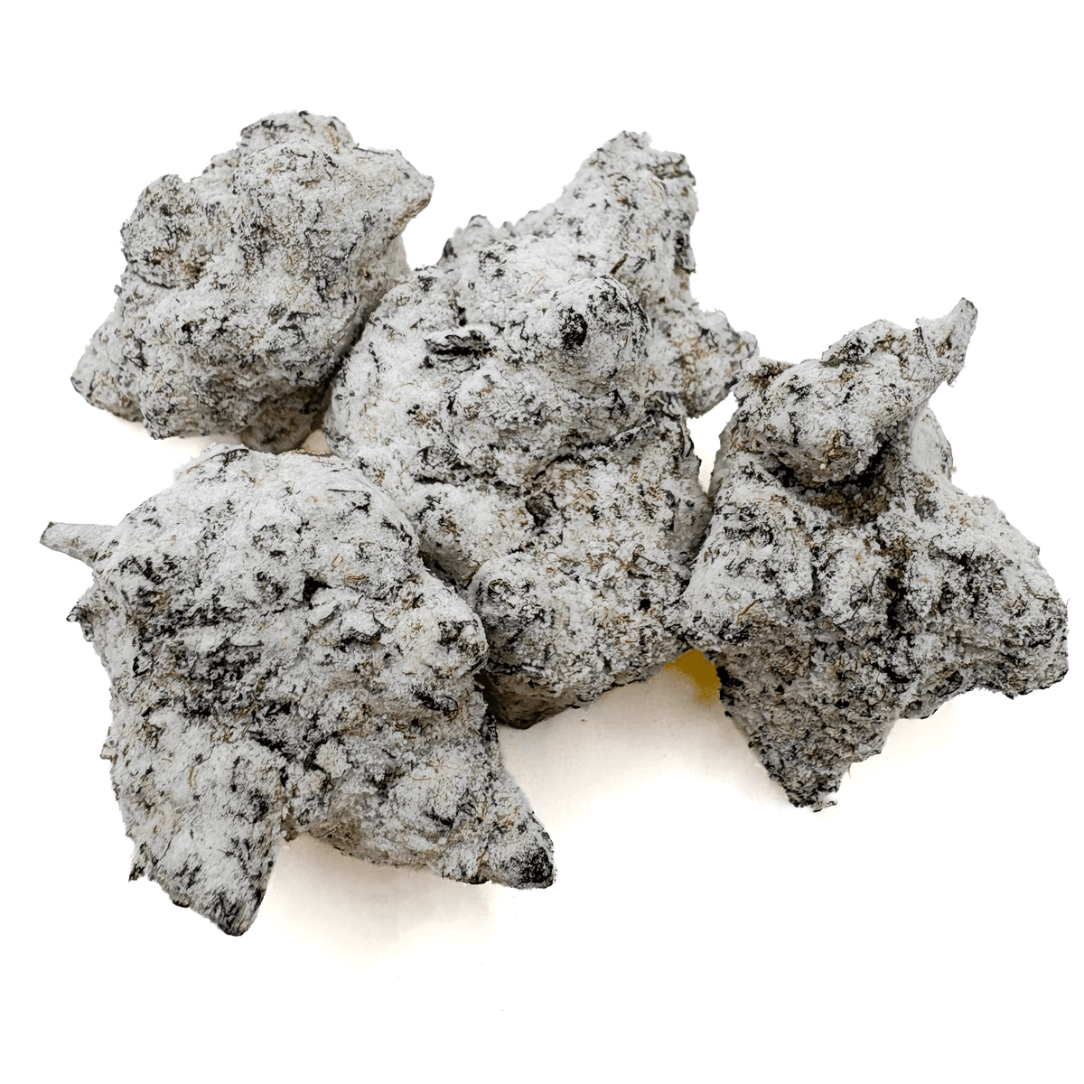 Purple Sno Cap Flower