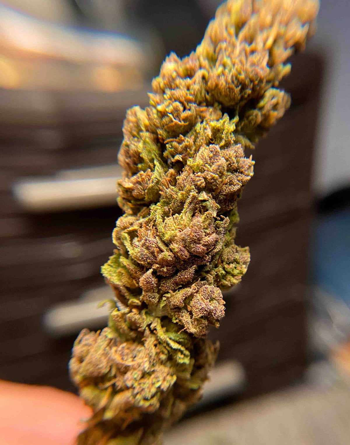 Abacus #5 CBD Hemp Flower - BackWoodz CBD