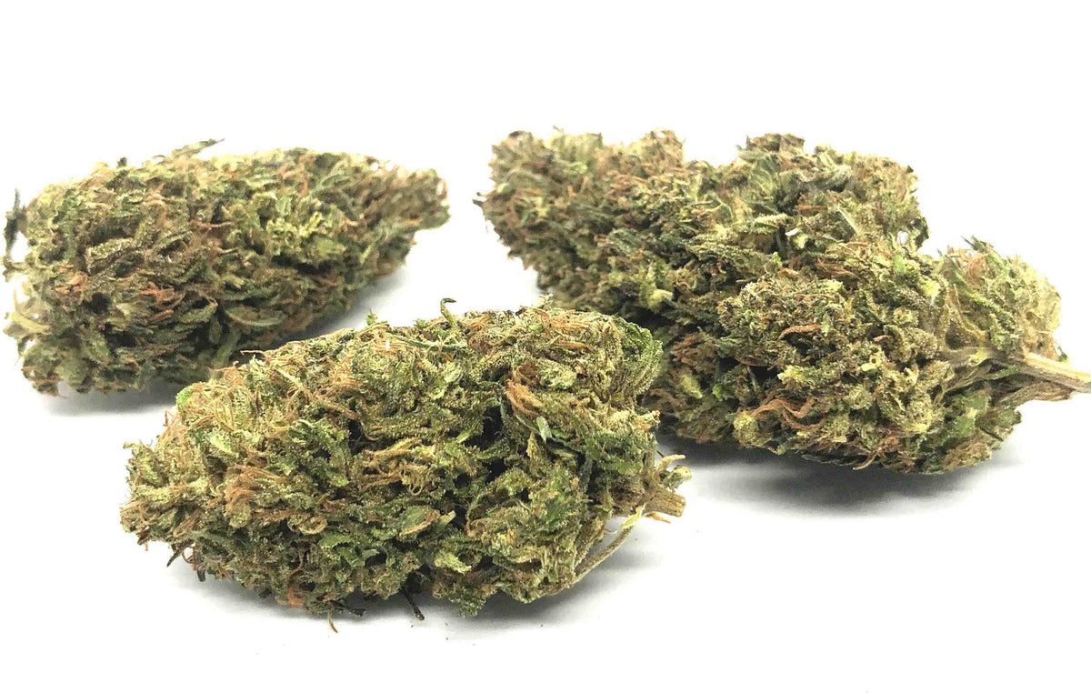 BackWoodz Sampler (16 strains)