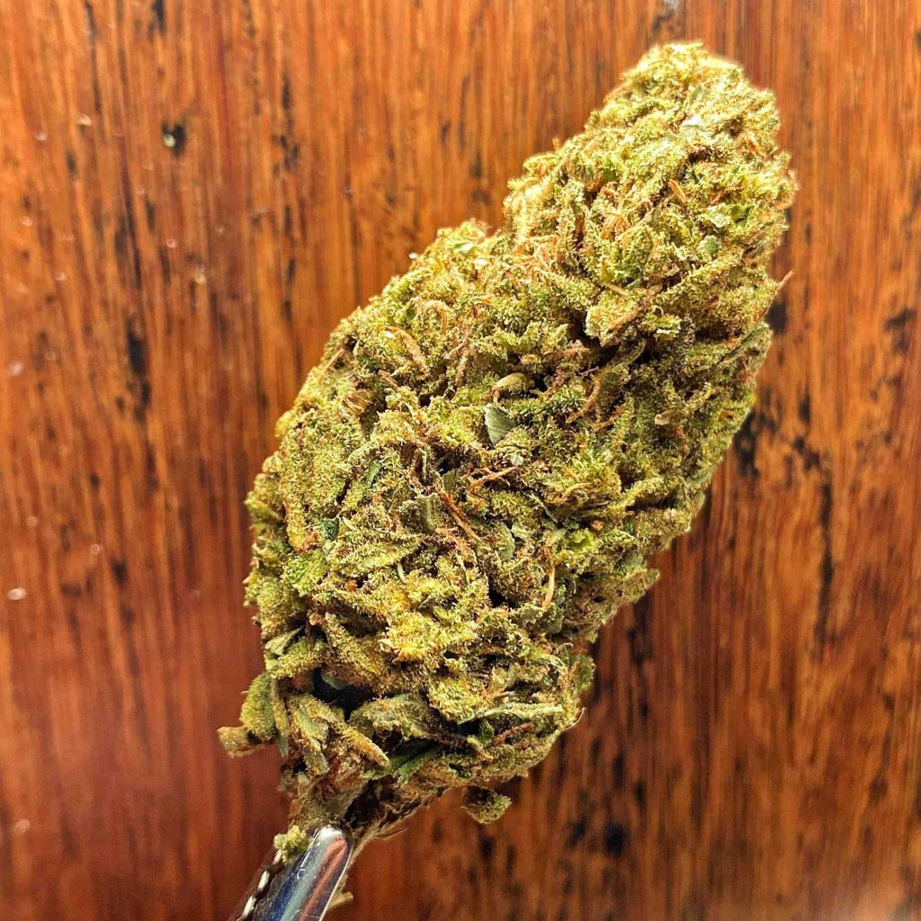 Carolina Kush CBD Flower - BackWoodz CBD