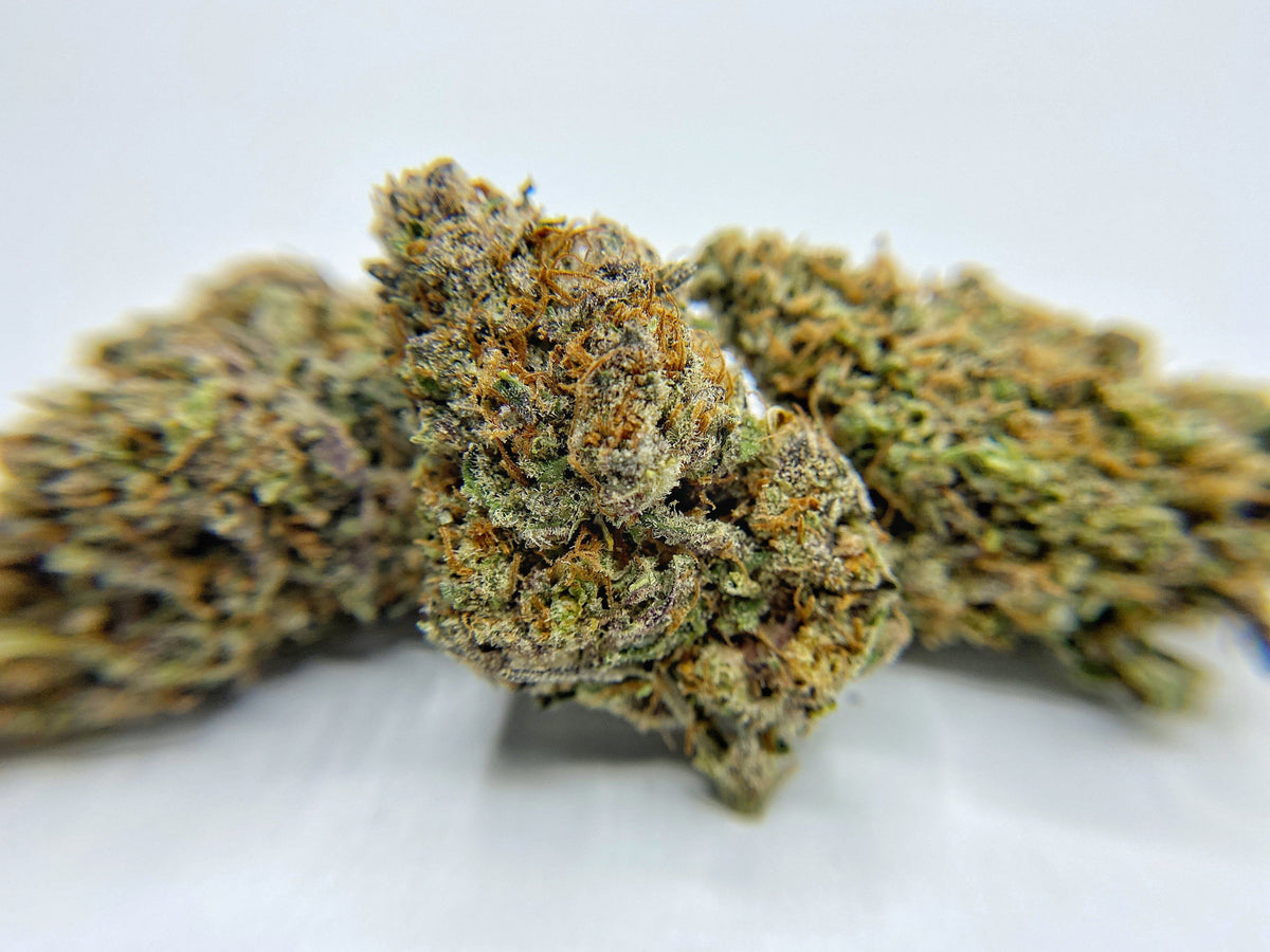 Indoor Mothership ( Hydro ) CBD Flower - BackWoodz CBD