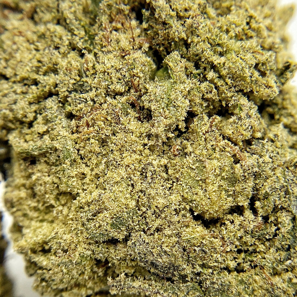 Kief Duster - CBD Hemp Flower - BackWoodz CBD