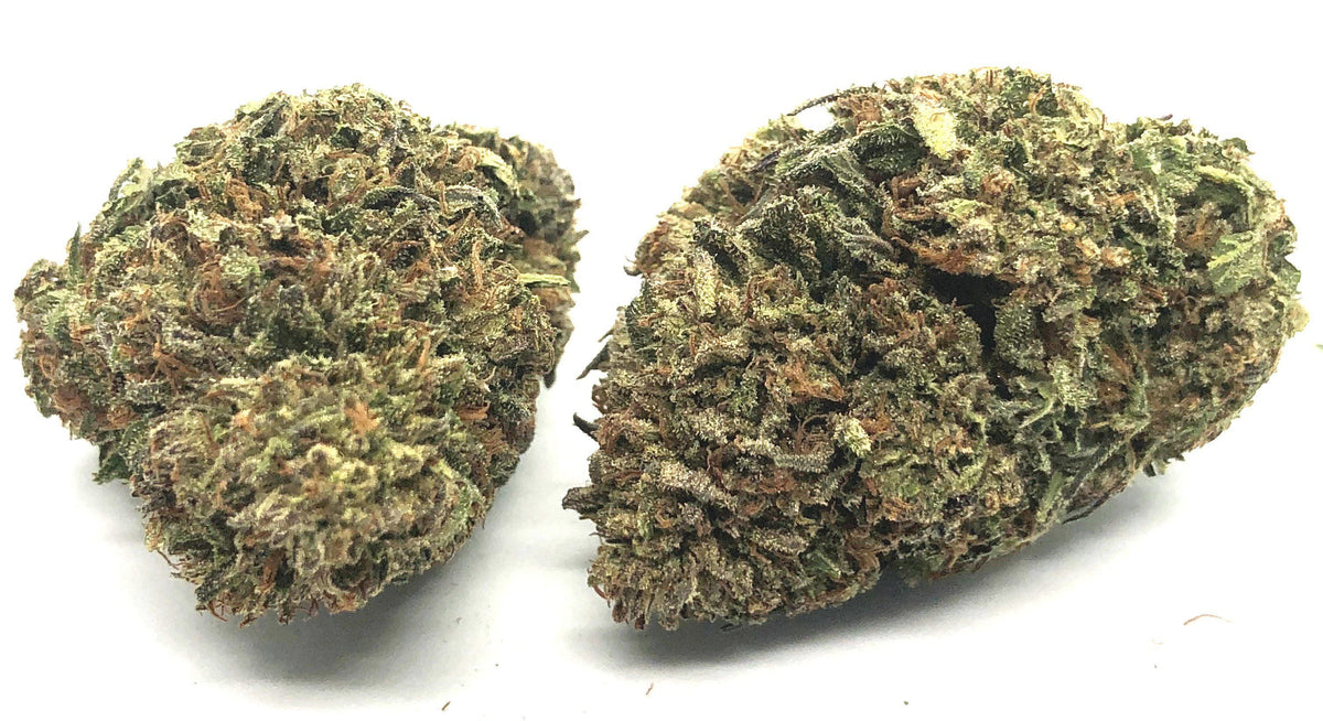 BackWoodz CBD - Sampler OG Bubba Kush  (4456912027730)