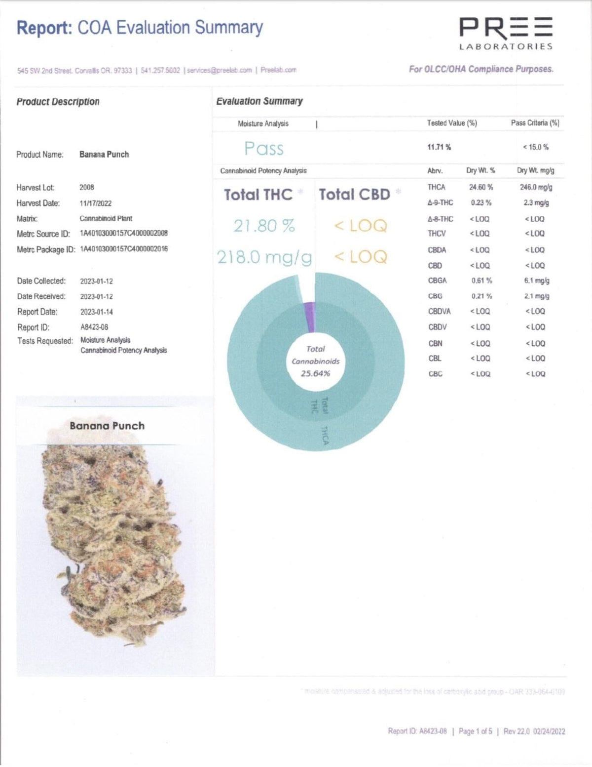 Banana Punch THCA Flower COA - BackWoodz 