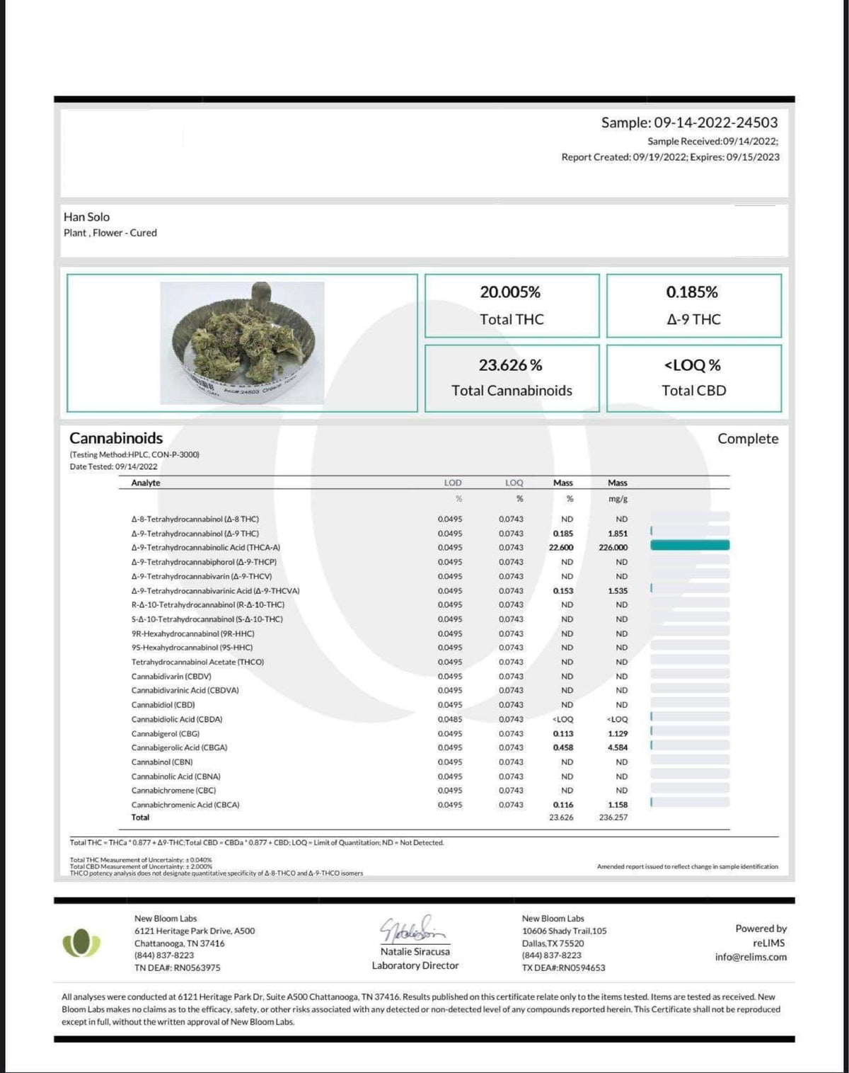 Indoor Hans Solo THCA Flower - BackWoodz Cartel