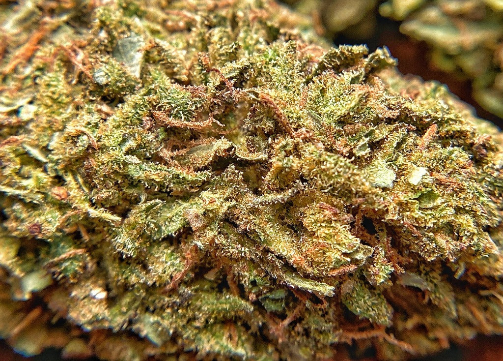 BackWoodz CBD Outdoor CBD Hemp  Flower Sample Pack