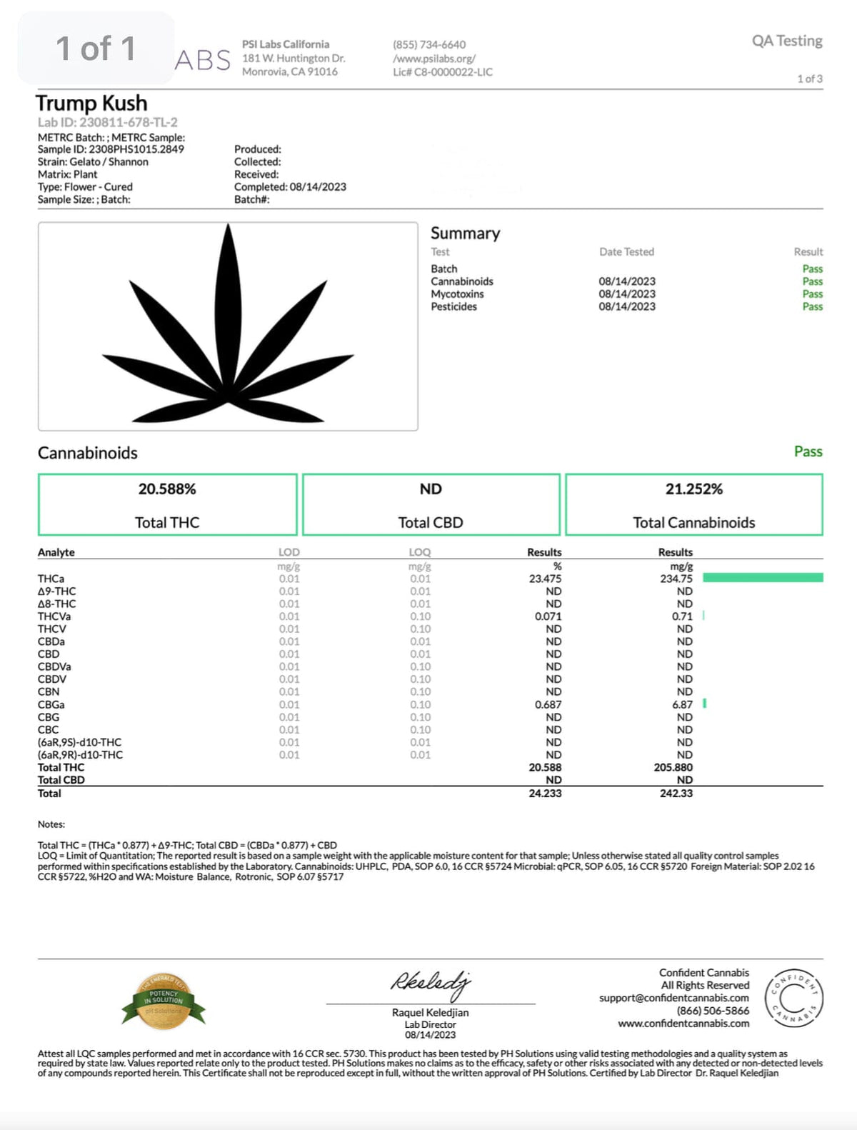 Trump Kush - THCA Flower - BackWoodz 