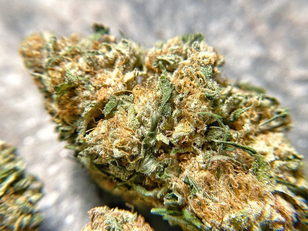 Certified Organic White CBG Hemp Flower - BackWoodz CBD