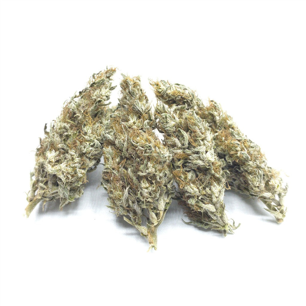 Platinum White CBG - BackWoodz CBD