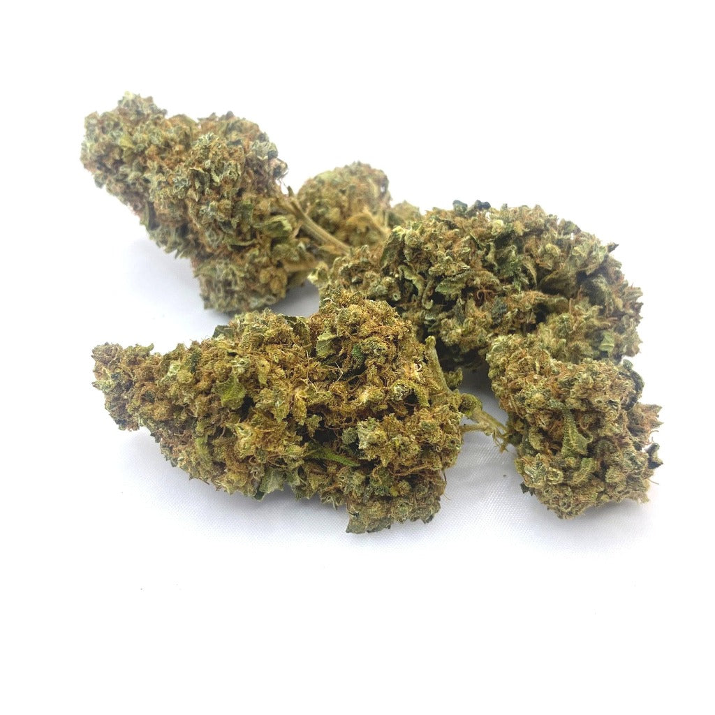 Rusty School Bus Indoor Hemp Flower - Backwoodz Cartel Cannabis