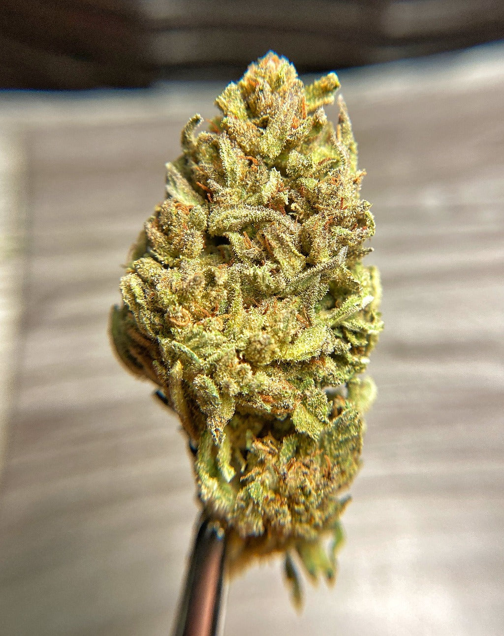 Dank Hemp CBD Flower - BackWoodz CBD