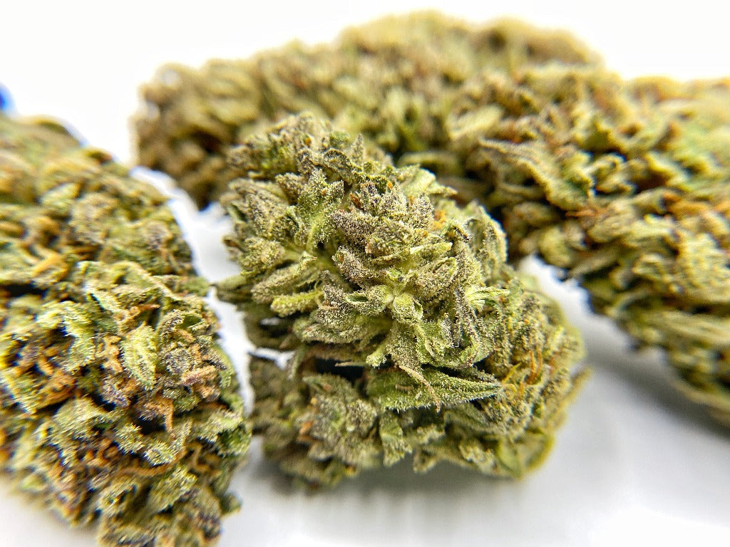 top shelf Hemp CBD Flower - BackWoodz CBD