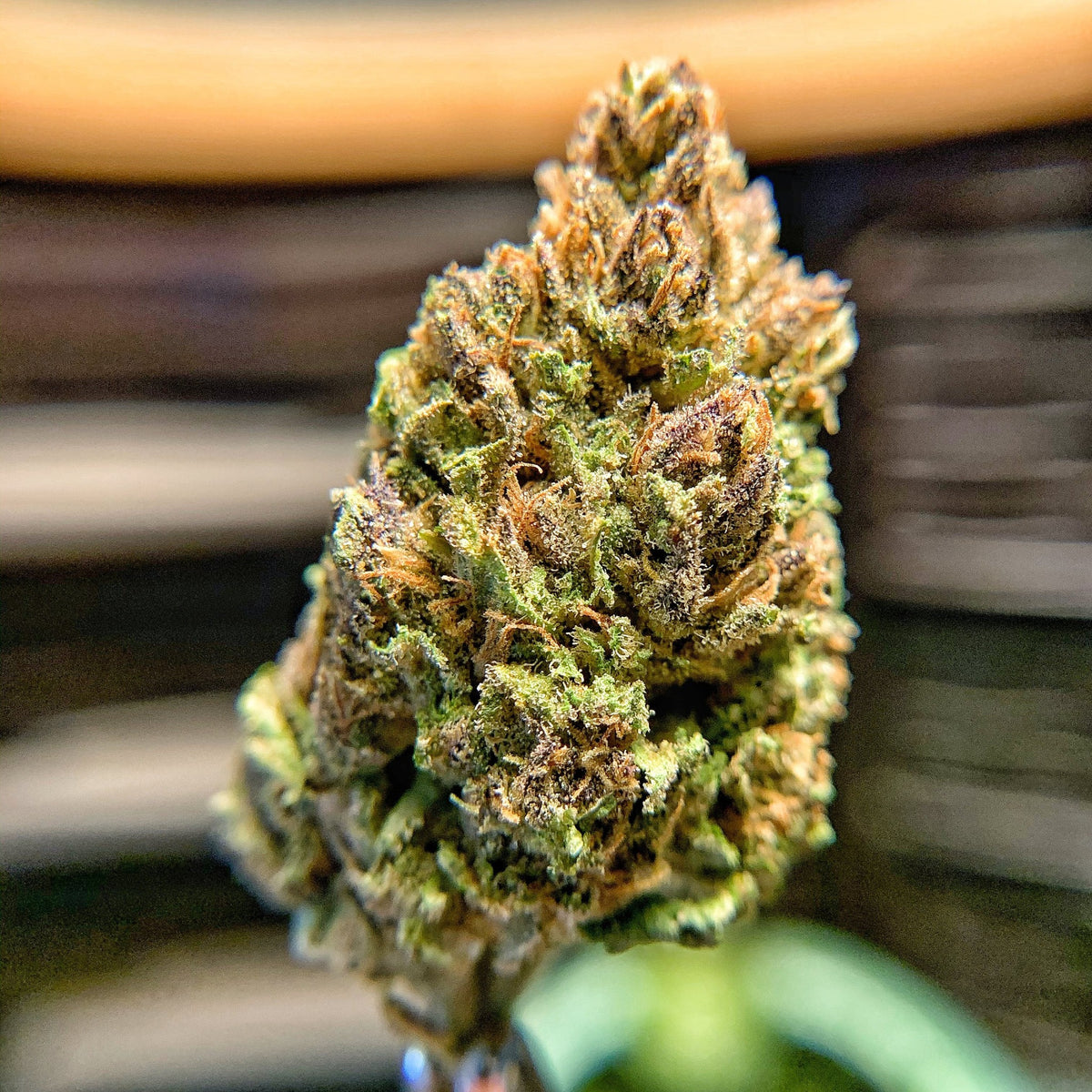 Super Suver Haze CBD Flower- BackWoodz CBD