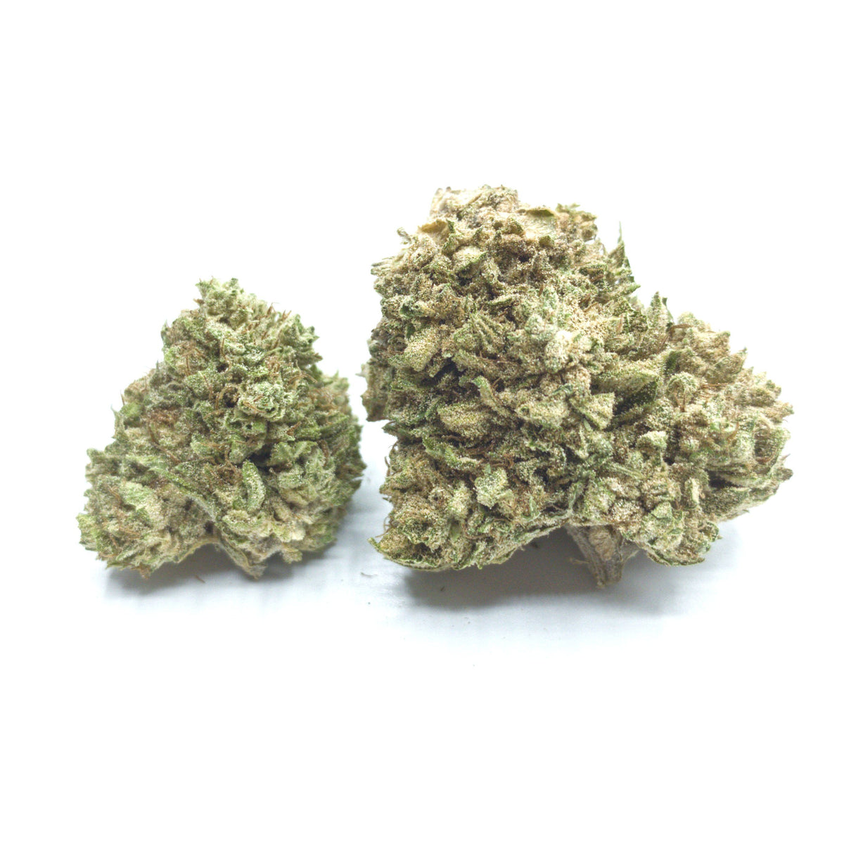 White Whale CBG Flower - BackWoodz CBD (4525277642834)